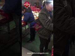 ปริมาณการควบคุมคุณภาพในสาย