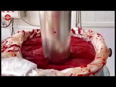 ยืนขึ้น ซาเช็ตพาสต้าทอด